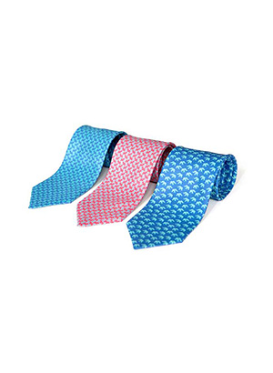 男款西服領(lǐng)帶SWN84911